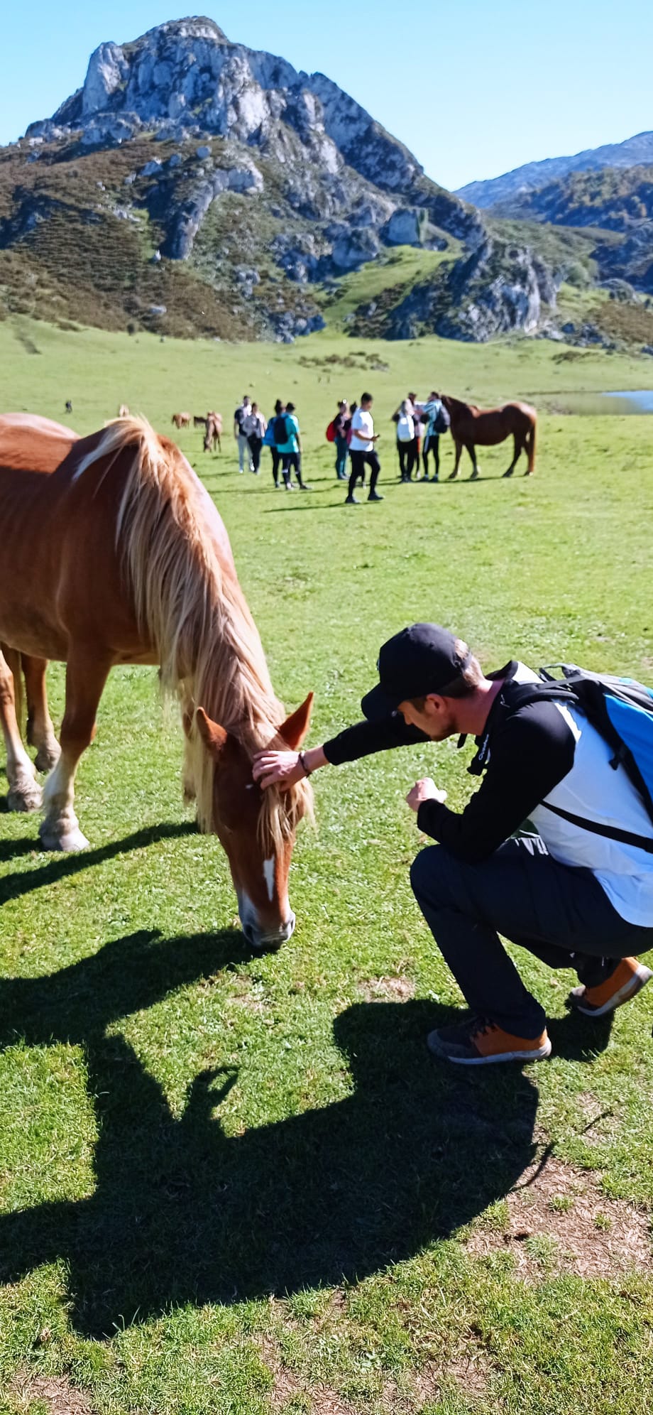 Caballo en Picos de Europa